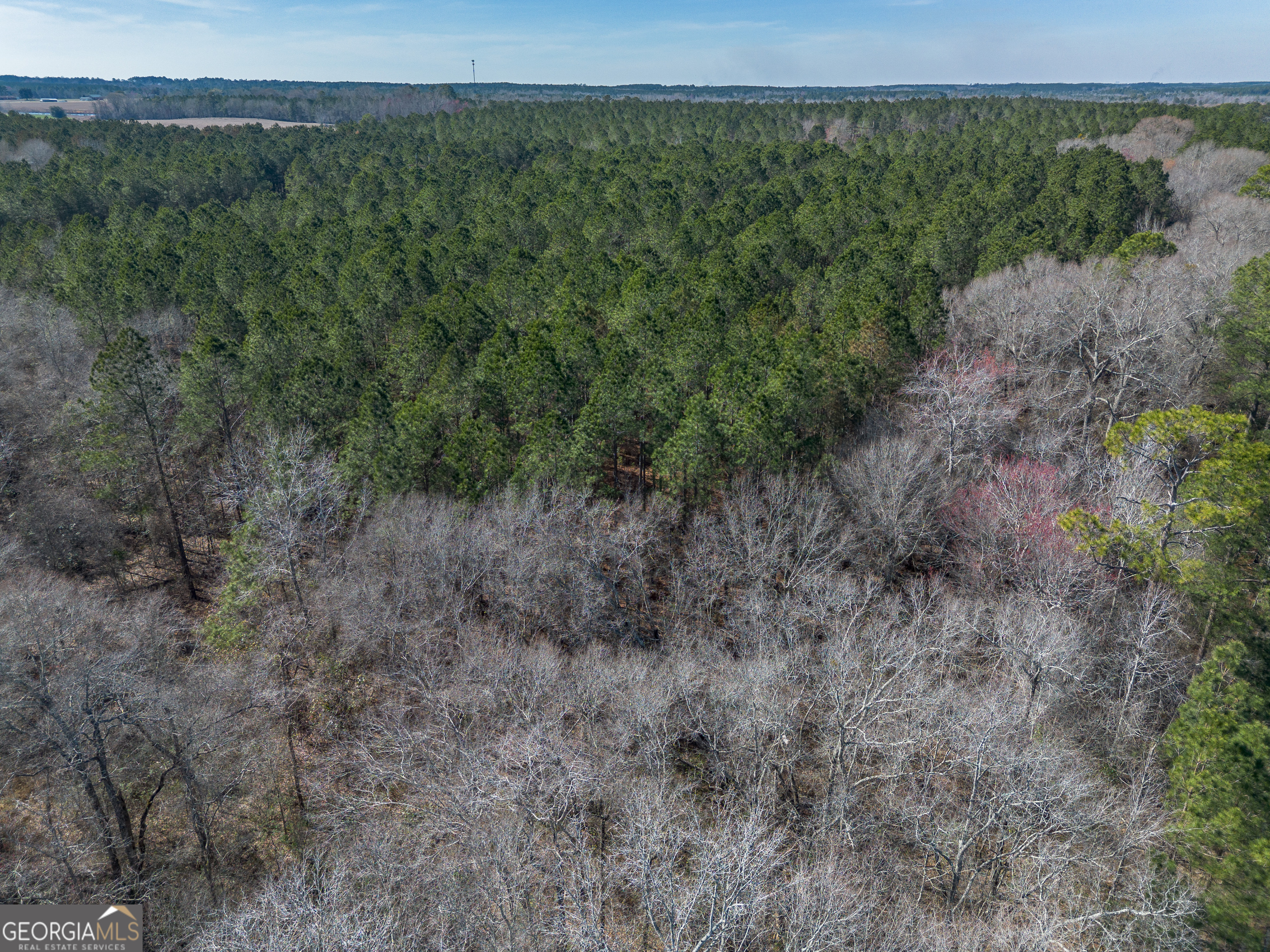 Lot 5 Golf Course Road Eastman, GA 31023 - Photo 7 of 14 a view of a forest with trees in the background