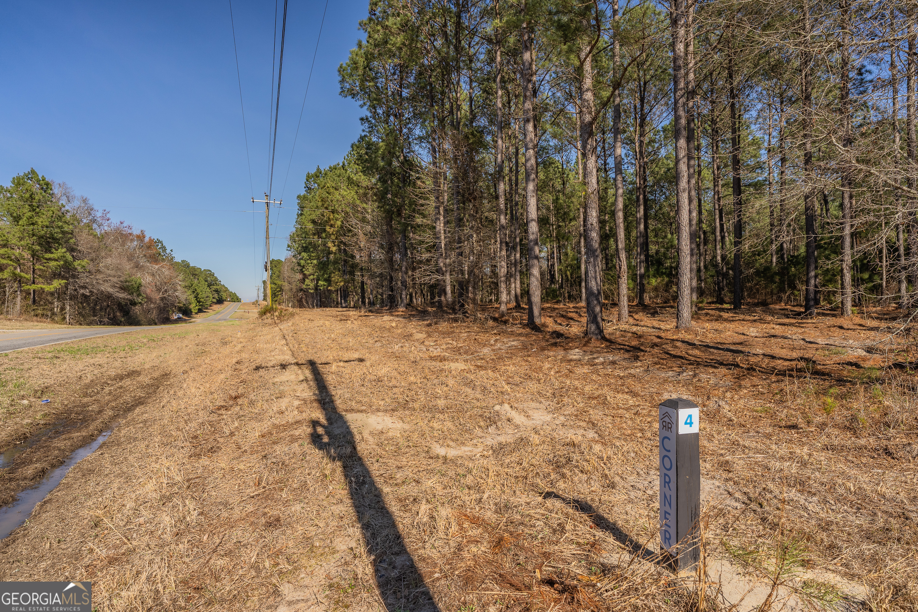 Lot 5 Golf Course Road Eastman, GA 31023 - Photo 9 of 14 a backyard of a house with lots of green space