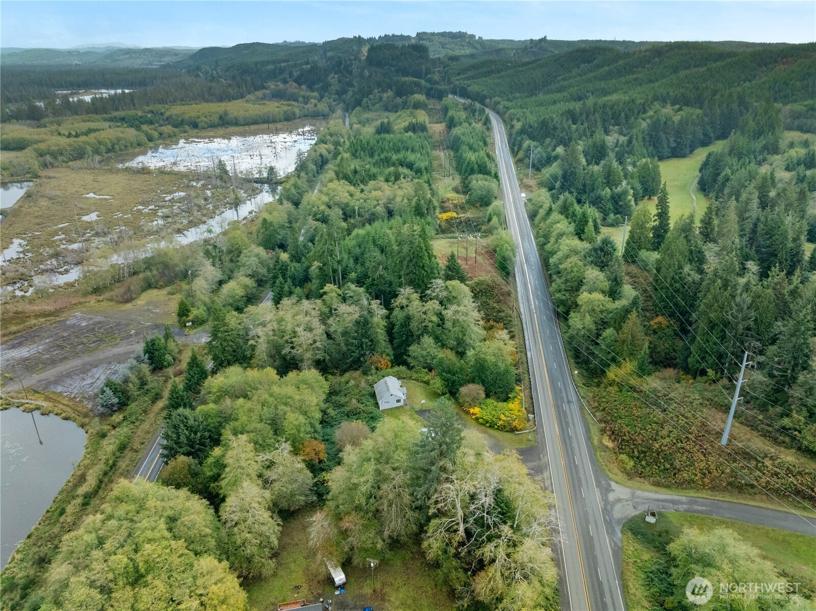 2405 1st Street Cosmopolis, WA 98537 - Photo 31 of 36 a view of a forest with a lake
