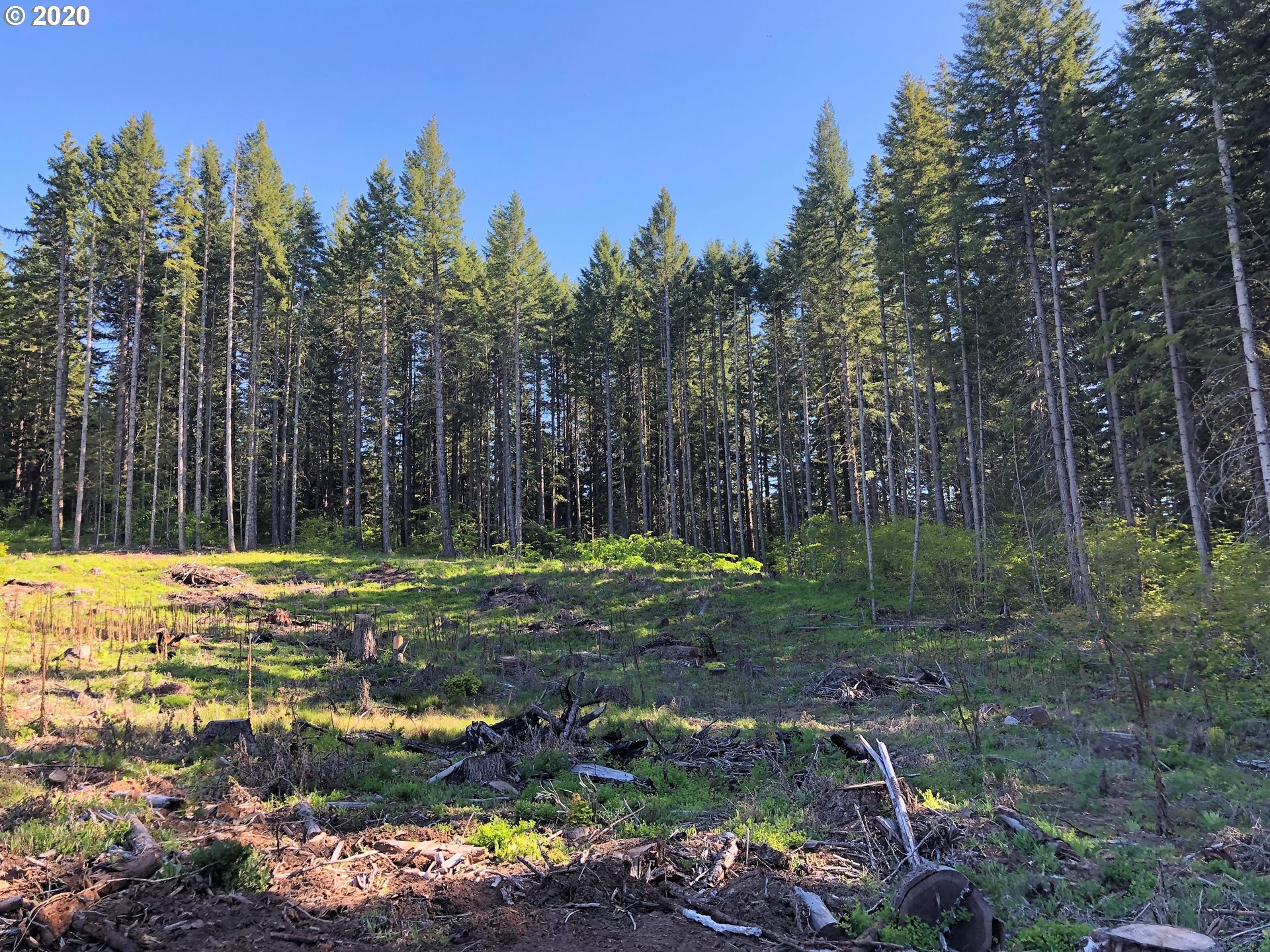48 Moonshine Road, Unit 2 Appleton, WA 98602 - Photo 1 of 17 Gallery Image 1
