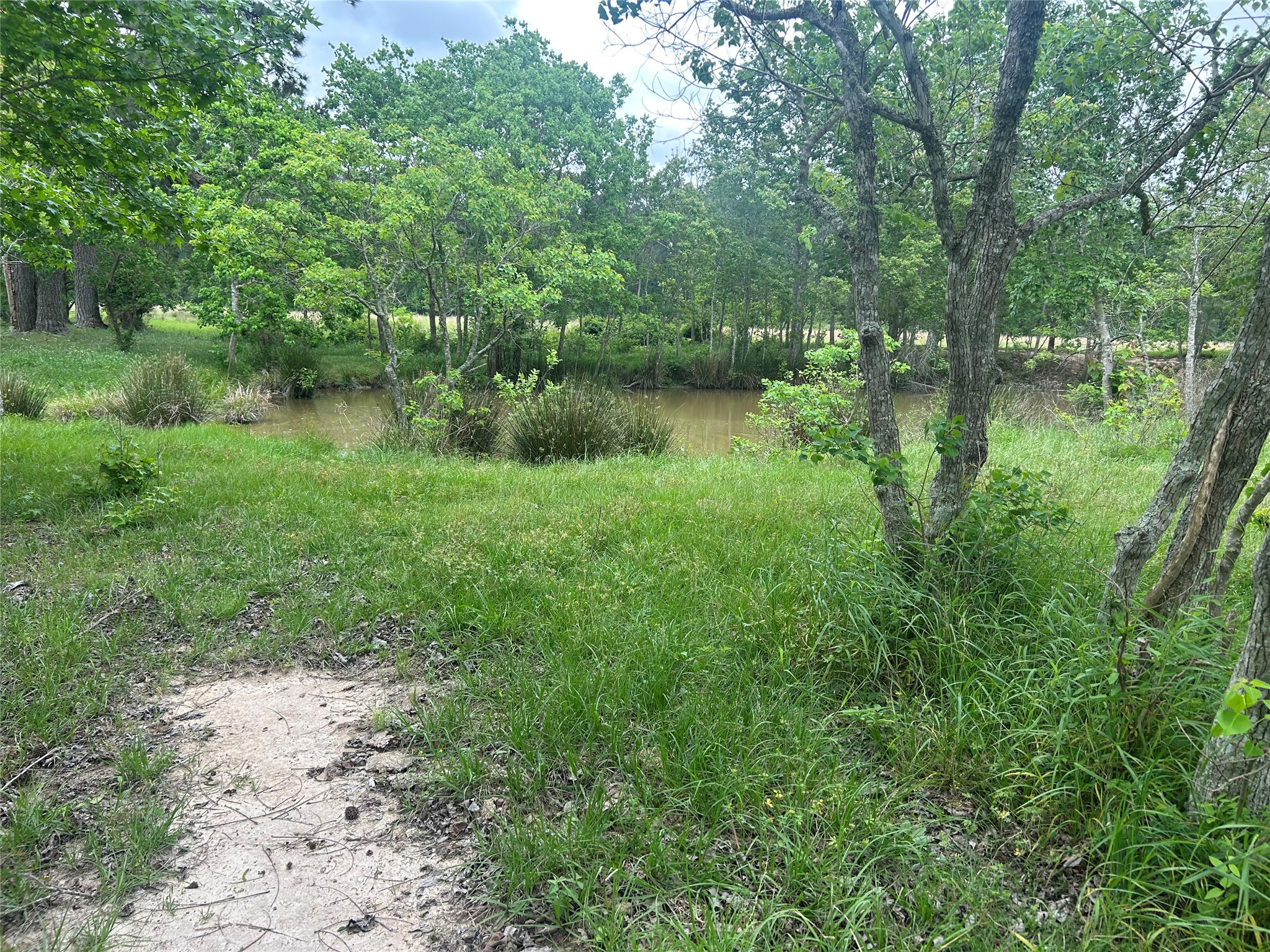 Lot 1 Minnie West Road Hull, TX 77564 - Photo 5 of 16 a view of lake with green space