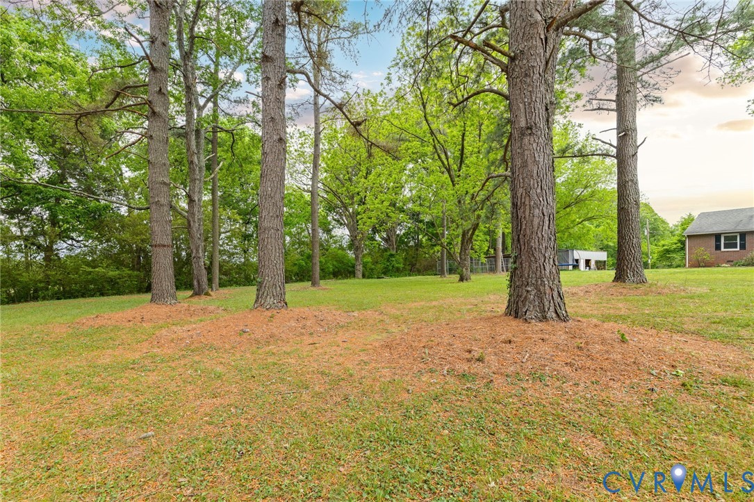 836 Dobbins Bridge Road Blackstone, VA 23824 - Photo 40 of 64