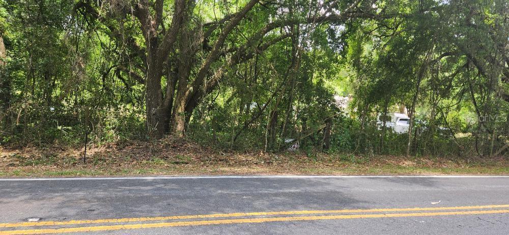Wpa Road Brooksville, FL 34601 - Photo 3 of 5