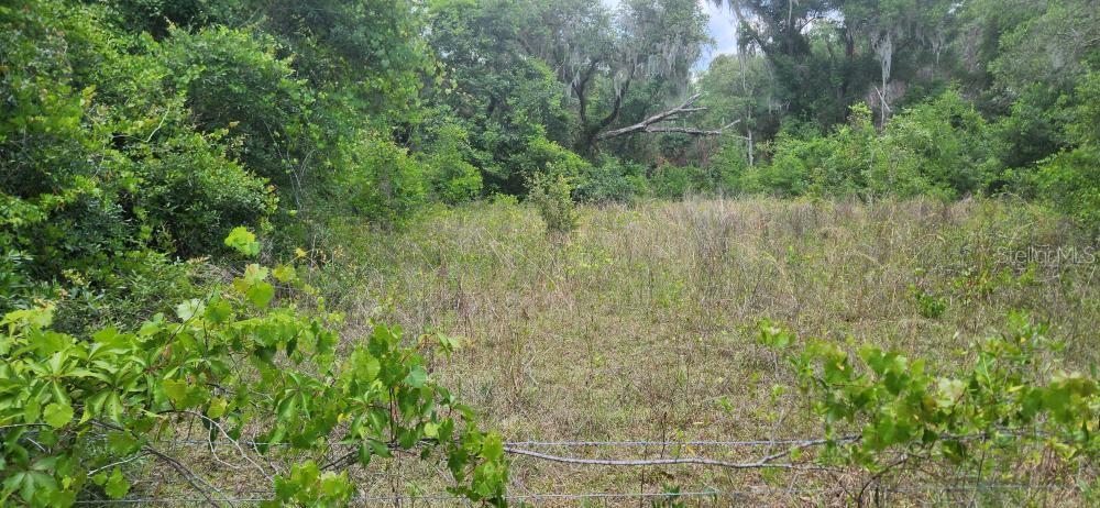Wpa Road Brooksville, FL 34601 - Photo 4 of 5