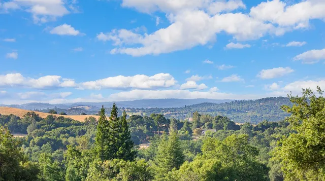 a view of a city with lush green forest