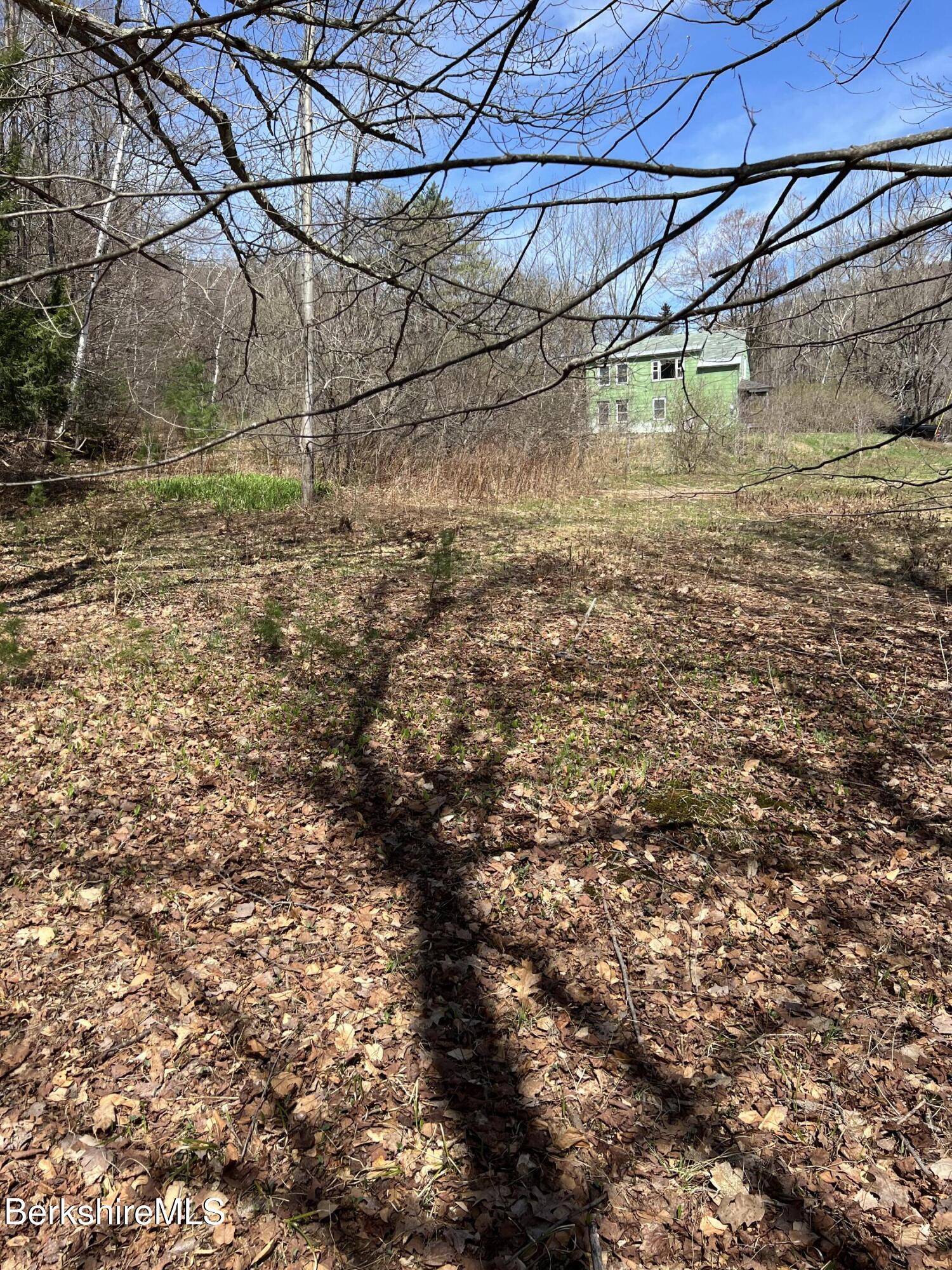 427 W Road Clarksburg, MA 01247 - Photo 4 of 6 a view of a yard of a house