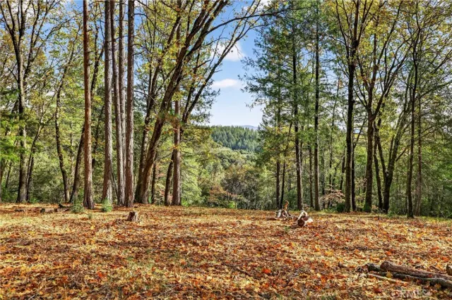 $235,000 | 0 Burgundy Lane, Forest Ranch, CA 95942
