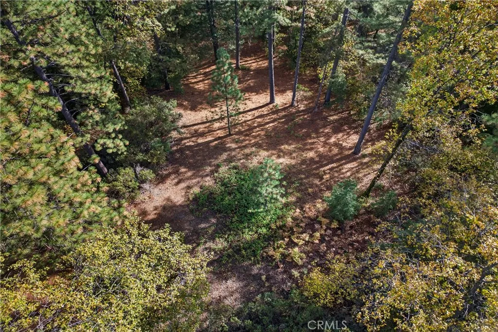 0 Burgundy Lane Forest Ranch, CA 95942 - Photo 13 of 29 a view of a tree in a yard