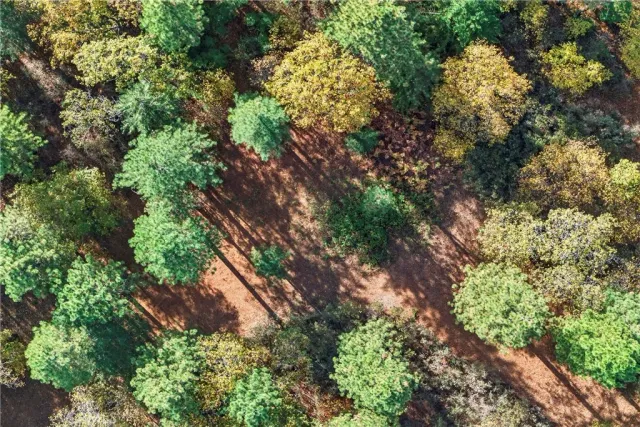 a view of a city with lush green forest
