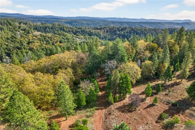 a view of a lush green field with mountains in the background