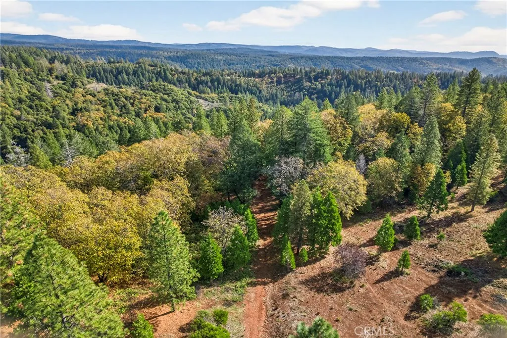 0 Burgundy Lane Forest Ranch, CA 95942 - Photo 15 of 29 a view of a city with lush green forest