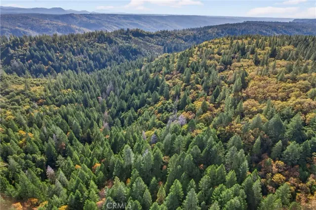 a view of a field with a lush green forest