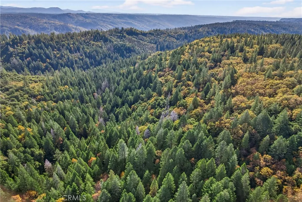 0 Burgundy Lane Forest Ranch, CA 95942 - Photo 16 of 29 a view of a lush green field with mountains in the background