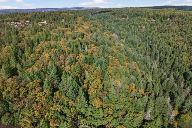 a view of a lush green field and mountains