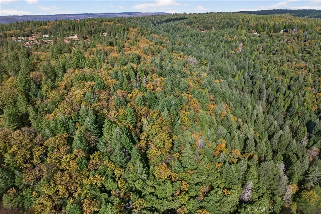 0 Burgundy Lane Forest Ranch, CA 95942 - Photo 18 of 29 a view of a field with a lush green forest