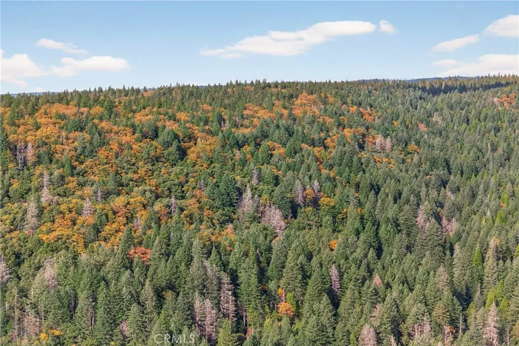 0 Burgundy Lane Forest Ranch, CA 95942 - Photo 19 of 29 a view of a city