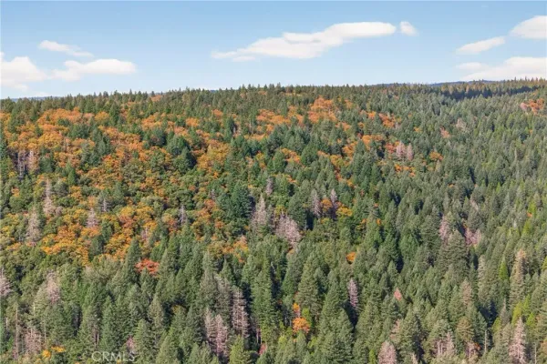 a view of mountain and tree
