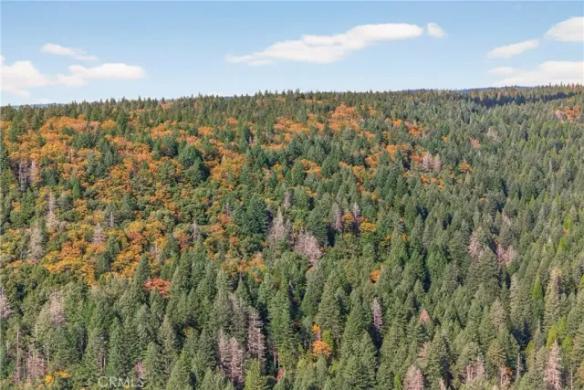 a view of mountain and tree