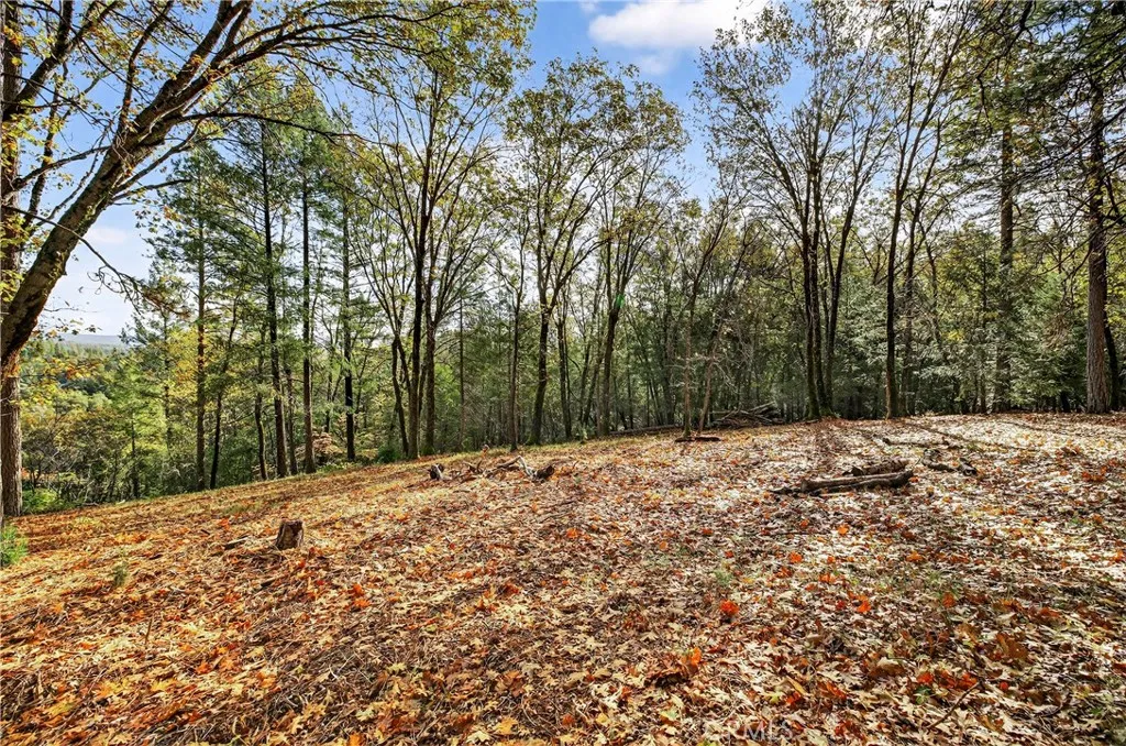 0 Burgundy Lane Forest Ranch, CA 95942 - Photo 2 of 29 a backyard of a house with large trees