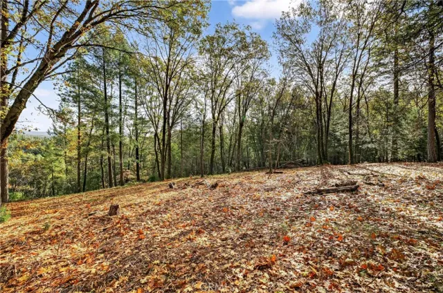 a backyard of a house with large trees