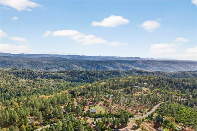 a close up of a plant