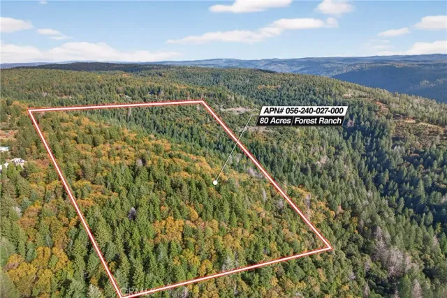 a view of a city with lush green forest