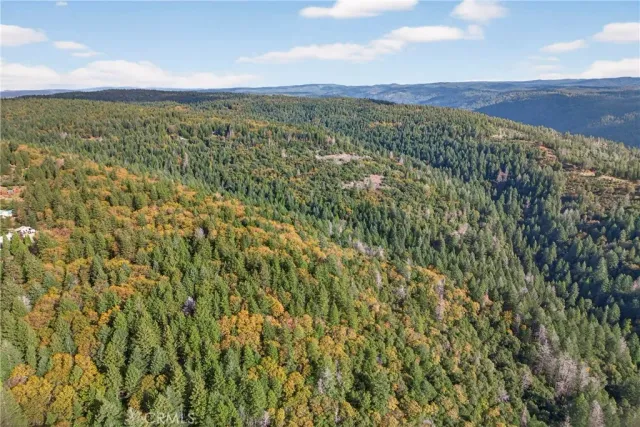 a view of a city with lush green forest