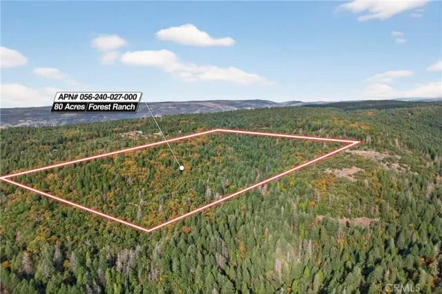 a view of a city with lush green forest