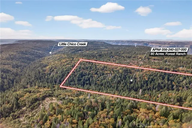 a view of a city with lush green forest