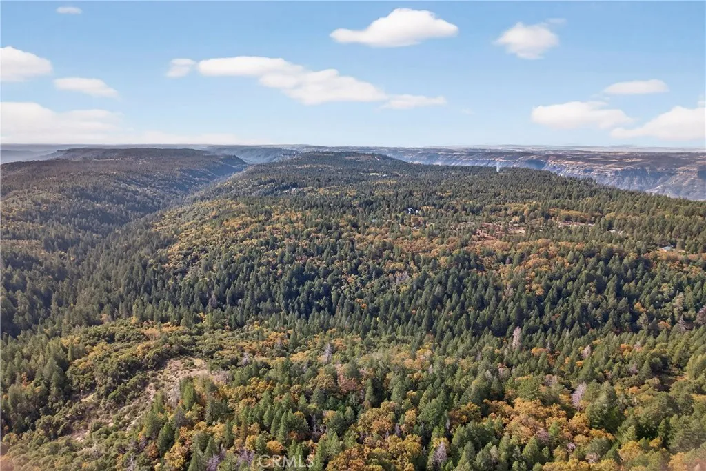 0 Burgundy Lane Forest Ranch, CA 95942 - Photo 29 of 29 a view of a city with lush green forest