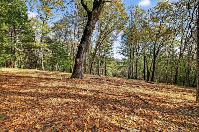 a view of outdoor space with trees