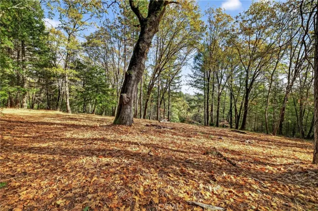 a view of outdoor space with trees