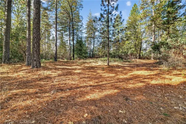 a view of outdoor space with trees