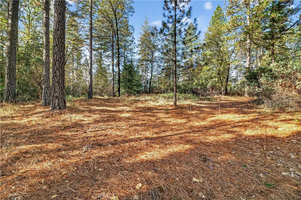 0 Burgundy Lane Forest Ranch, CA 95942 - Photo 4 of 29 a view of outdoor space with trees