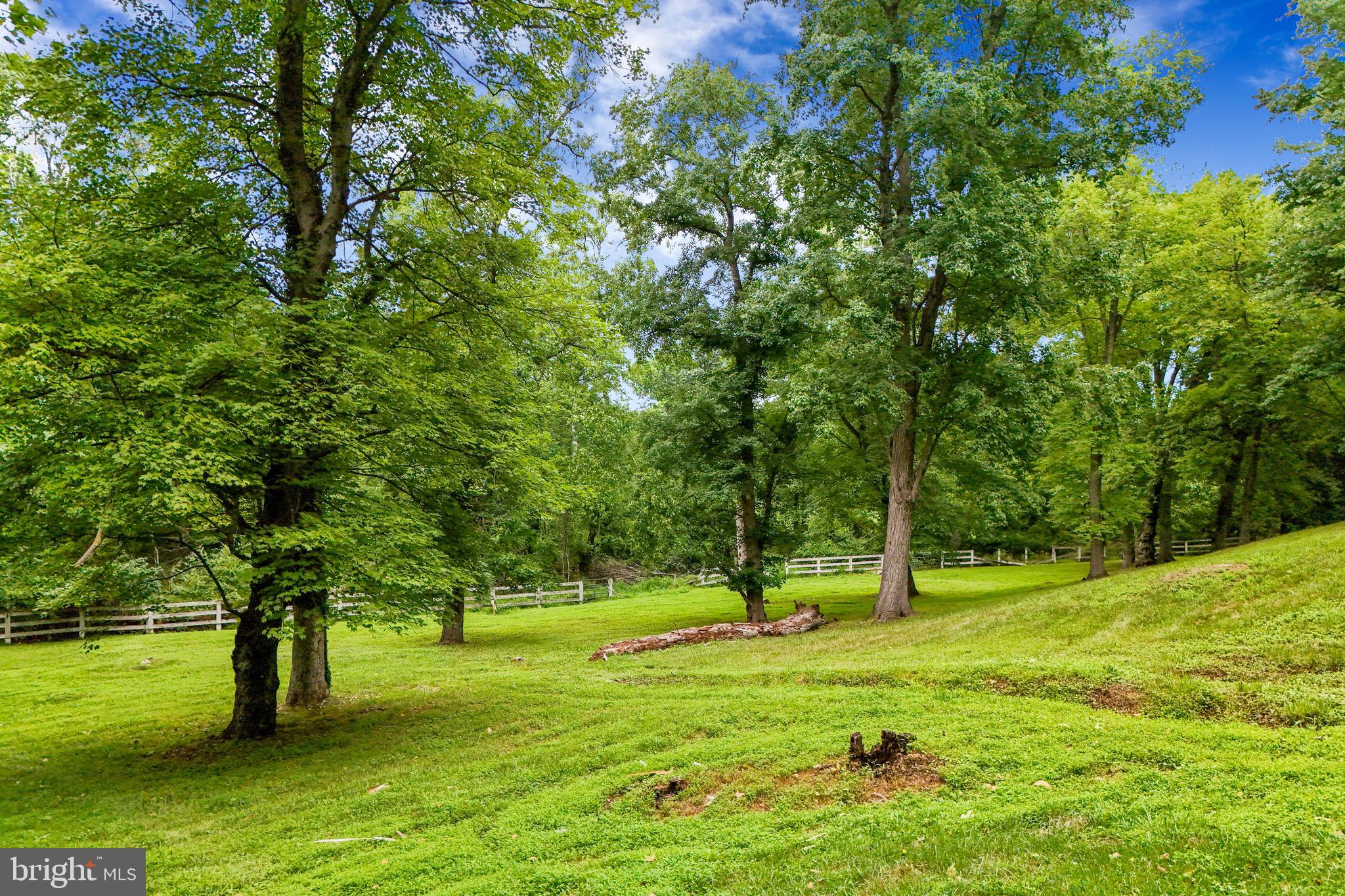 18189 Sands Road Purcellville, VA 20132 - Photo 142 of 145 4.6 wooded acres with room to roam. or build.