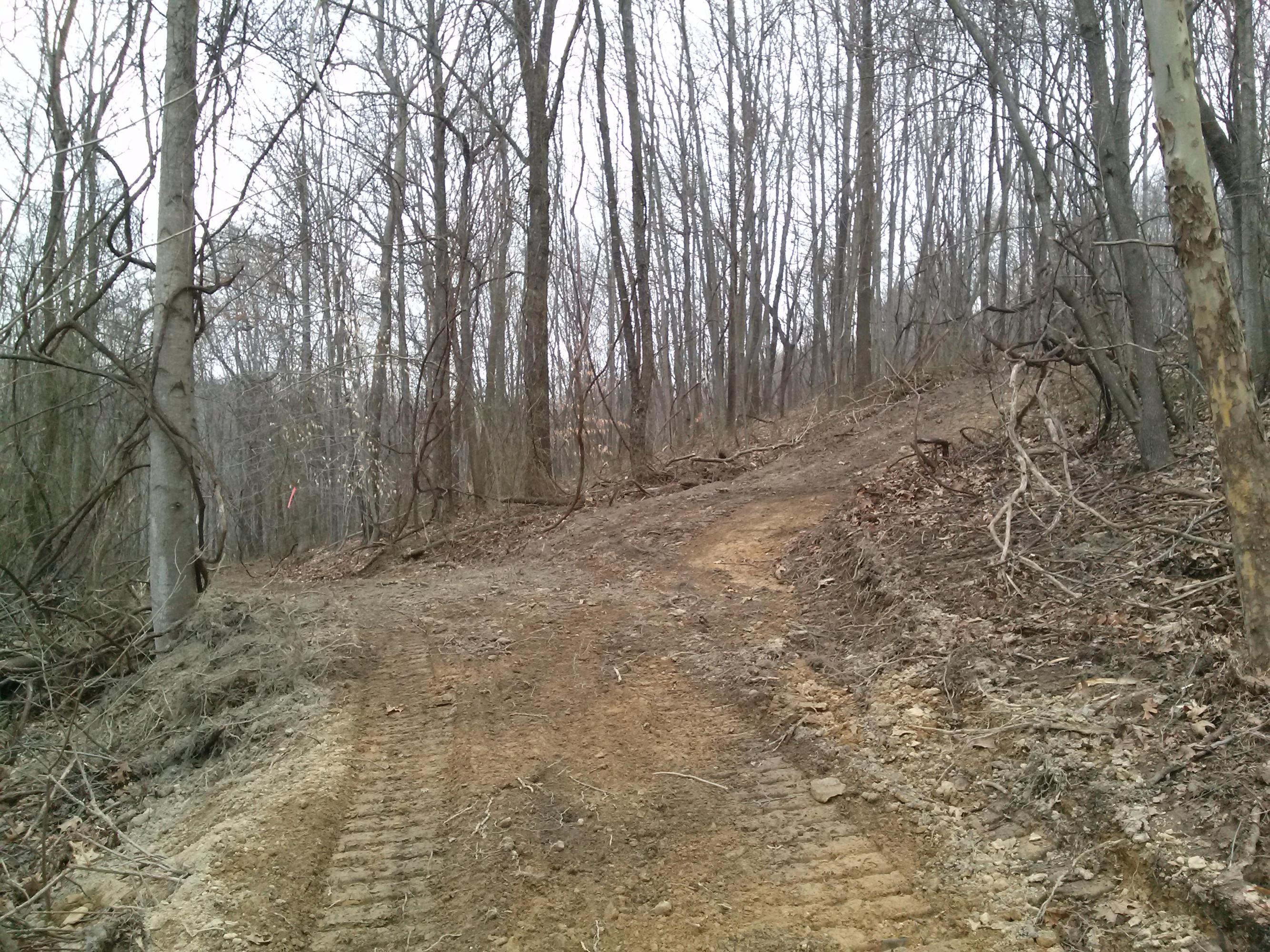 23418 Pole Ridge Road Laurelville, OH 43135 - Photo 4 of 7