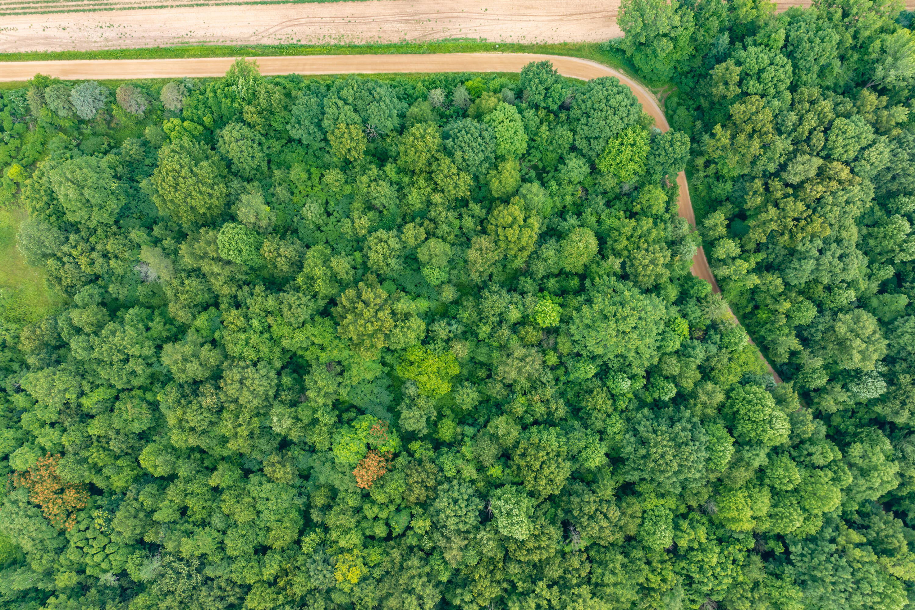 Vl Vl Territorial Road, Unit LOT B4 Lawrence, MI 49064 - Photo 6 of 10 1000000315