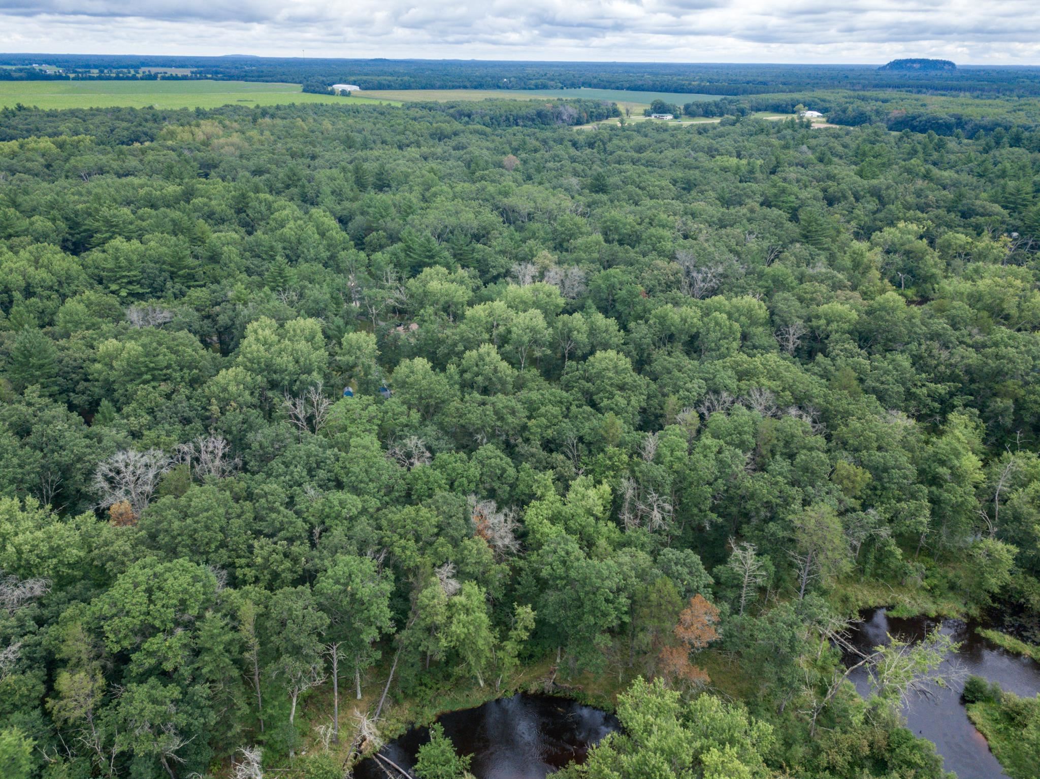1892 A W 16th Friendship, WI 53934 - Photo 13 of 39