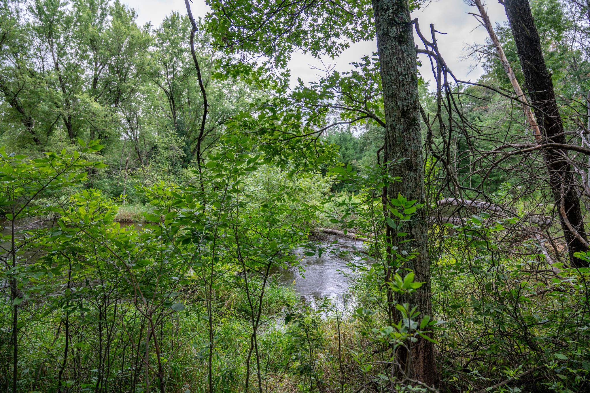 1892 A W 16th Friendship, WI 53934 - Photo 18 of 37