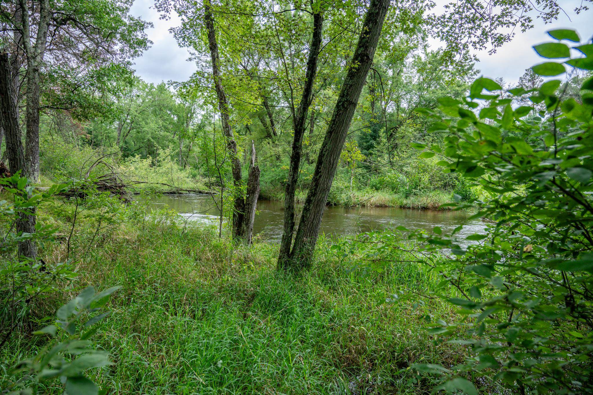 1892 A W 16th Friendship, WI 53934 - Photo 19 of 37