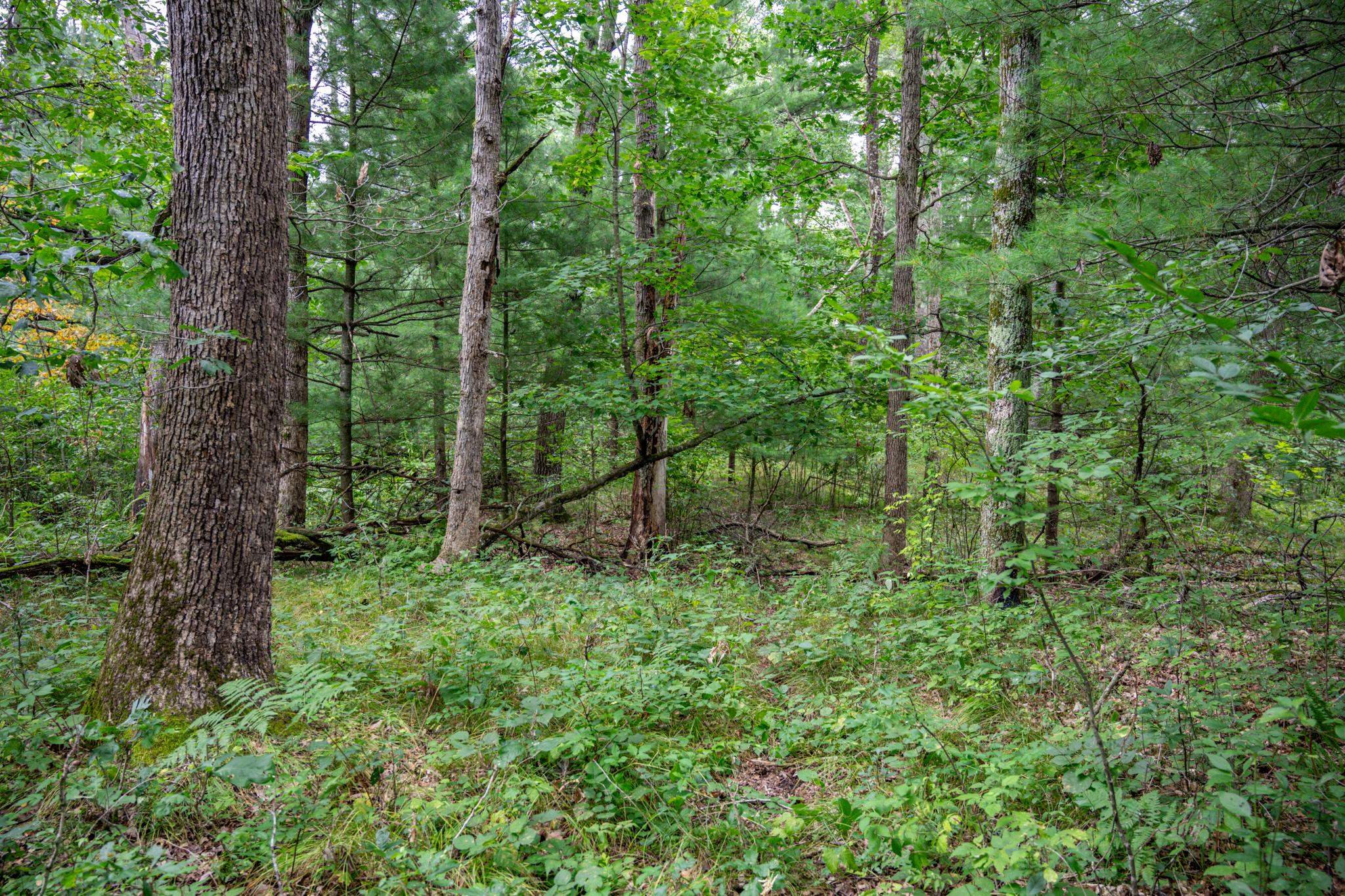 1892 A W 16th Friendship, WI 53934 - Photo 20 of 37