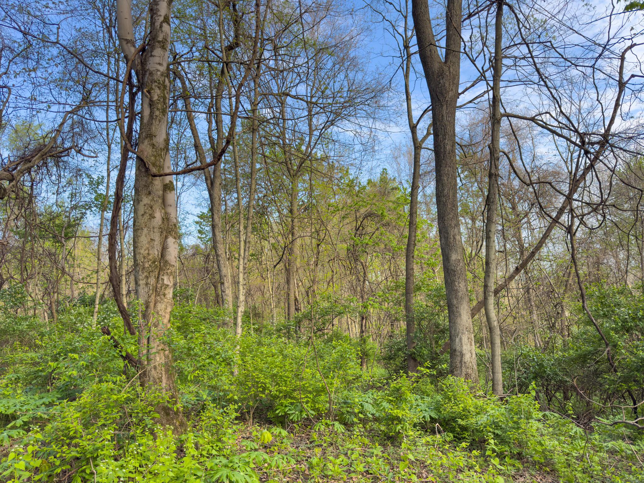 9874 Cincinnati-Zanesville Road Southwest Amanda, OH 43102 - Photo 27 of 50 cinci-zane rd sw-27