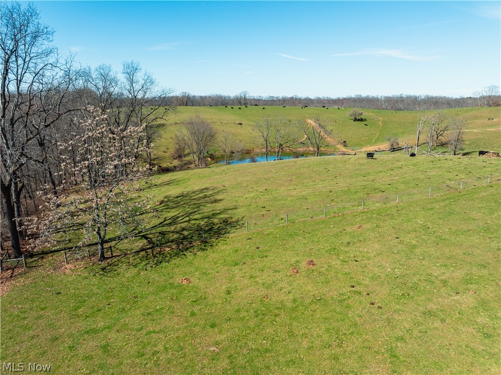 91100 Eckley Road Jewett, OH 43986 - Photo 3 of 7