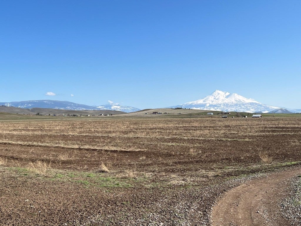 0 Swigart Road Montague, CA 96064 - Photo 2 of 15 Gallery Image 2