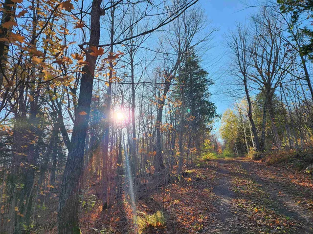 $649,000 | 192 West Deeryard Lake Road, Lutsen, MN 55612