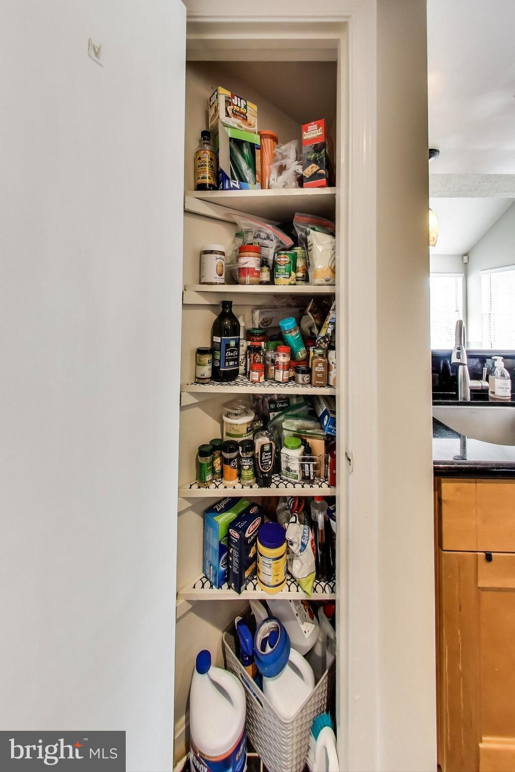10410 Beacon Ridge Drive, Unit 202 Bowie, MD 20721 - Photo 19 of 47 Kitchen Pantry