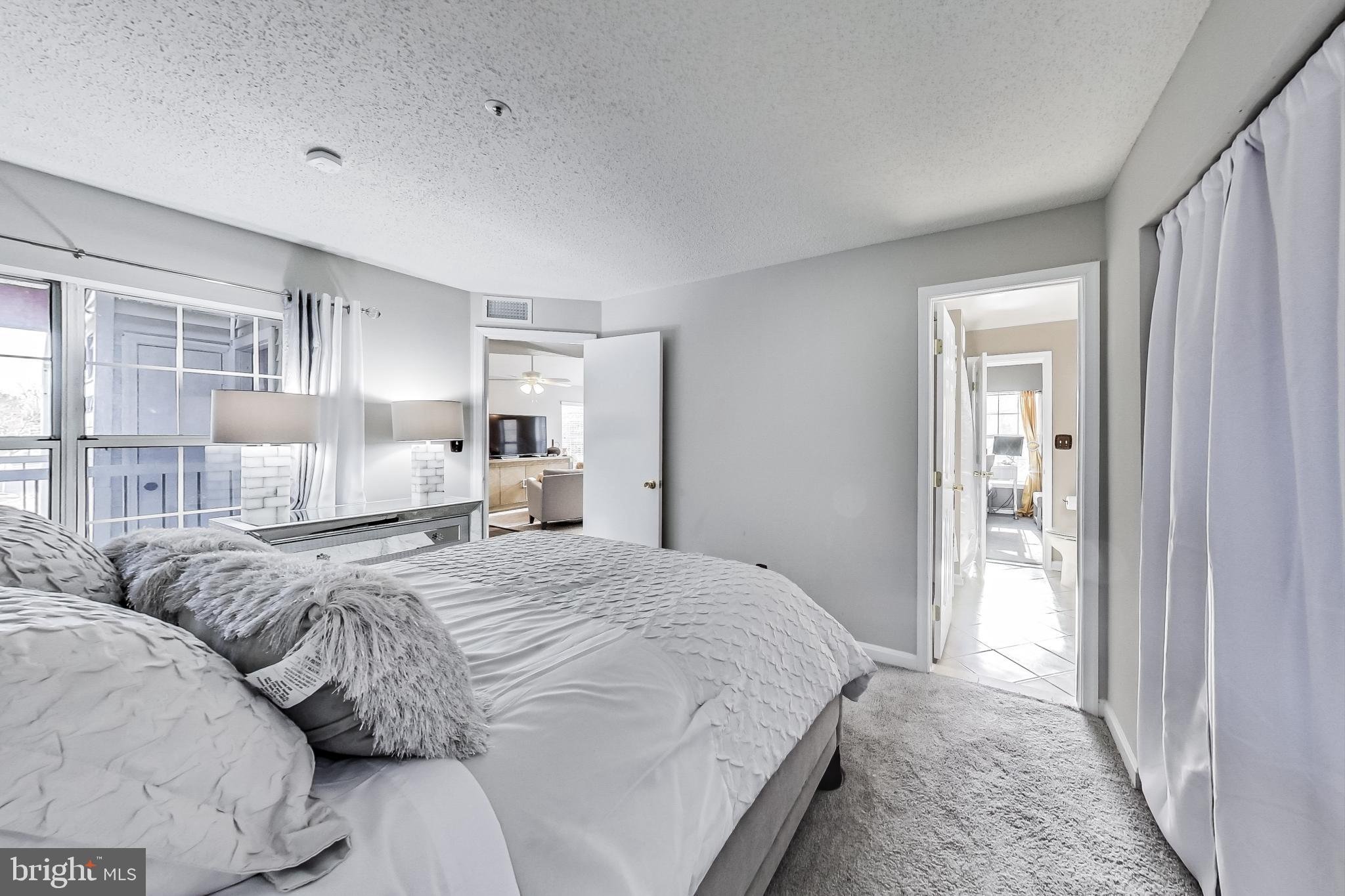 10410 Beacon Ridge Drive, Unit 202 Bowie, MD 20721 - Photo 22 of 47 Primary Bedroom & View of Pass Through Main Bath