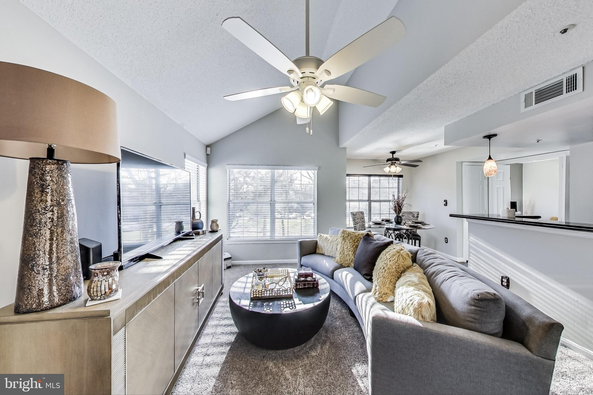 10410 Beacon Ridge Drive, Unit 202 Bowie, MD 20721 - Photo 4 of 47 Sunny Open Living Room