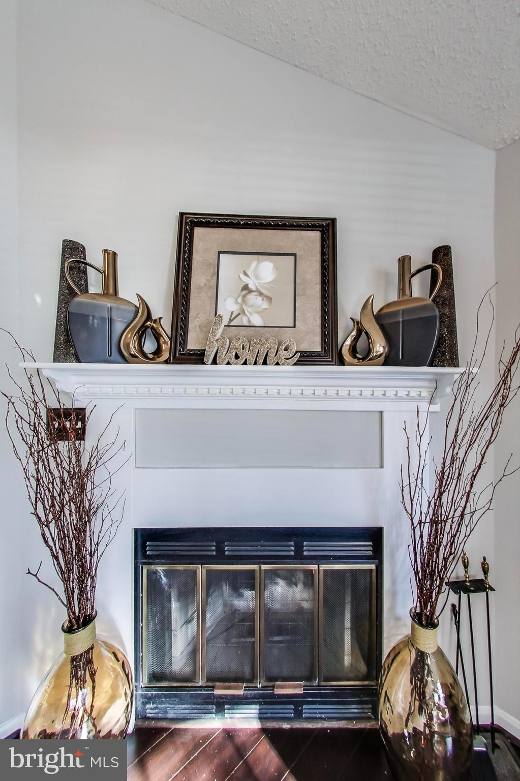 10410 Beacon Ridge Drive, Unit 202 Bowie, MD 20721 - Photo 8 of 47 Woodburning Fireplace