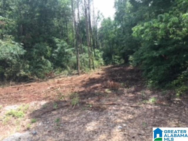 325 Springhill Road, Unit 1 Talladega, AL 35160 - Photo 22 of 31